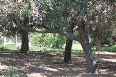 Enlarge photo 34