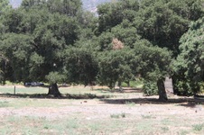 Enlarge photo 35