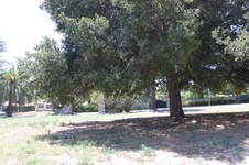 Enlarge photo 37