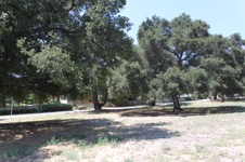 Enlarge photo 38
