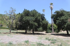 Enlarge photo 40