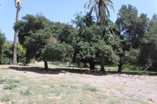 Enlarge photo 41