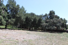 Enlarge photo 42