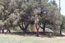 Enlarge photo 44