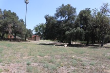 Enlarge photo 45
