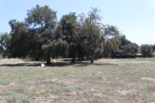 Enlarge photo 47