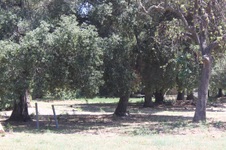 Enlarge photo 48