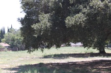 Enlarge photo 50