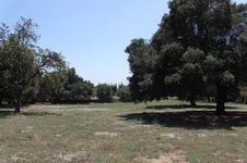 Enlarge photo 51