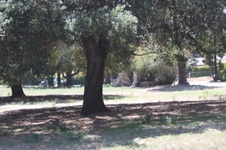 Enlarge photo 52