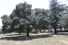 Enlarge photo 53