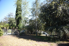 Enlarge photo 19