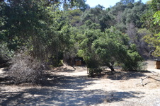 Lower Arroyo Park