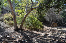Enlarge photo 9