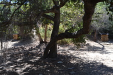 Enlarge photo 12