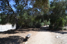 Enlarge photo 13