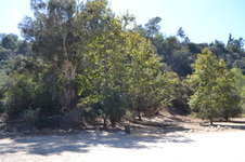 Enlarge photo 18