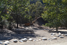 Enlarge photo 21