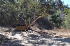 Enlarge photo 22