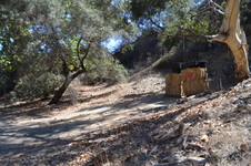Enlarge photo 24
