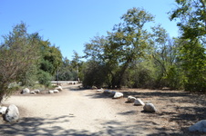 Enlarge photo 30