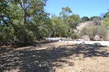 Enlarge photo 32