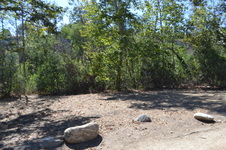 Enlarge photo 34
