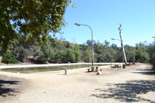Enlarge photo 35