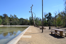 Enlarge photo 37