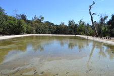 Enlarge photo 39