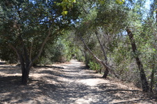 Enlarge photo 40