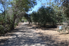 Enlarge photo 41