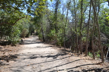 Enlarge photo 42