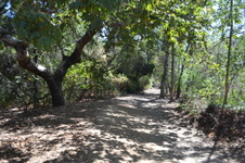 Enlarge photo 43
