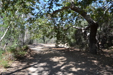 Enlarge photo 44