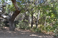 Enlarge photo 45
