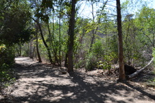 Enlarge photo 46