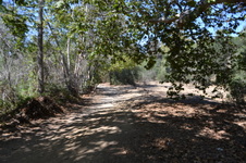 Enlarge photo 47
