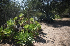 Enlarge photo 12