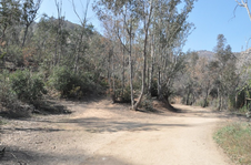 Old Zoo at Griffith Park