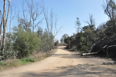 Enlarge photo 2