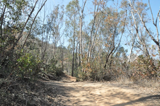 Enlarge photo 3