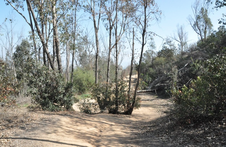 Enlarge photo 4