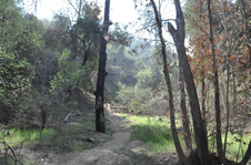 Enlarge photo 6
