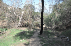 Enlarge photo 7