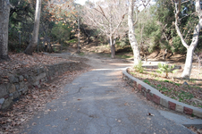 Enlarge photo 19