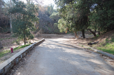 Enlarge photo 20
