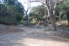 Enlarge photo 21