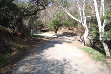 Enlarge photo 23