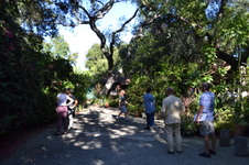 Enlarge photo 2